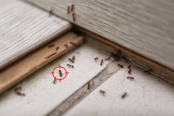 Best Exterminator Services  in Greenwood, IN