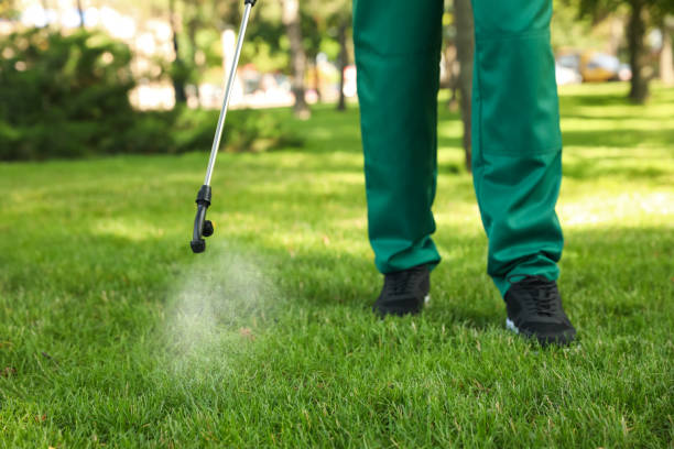 Best Pest Control Near Me  in Greenwood, IN