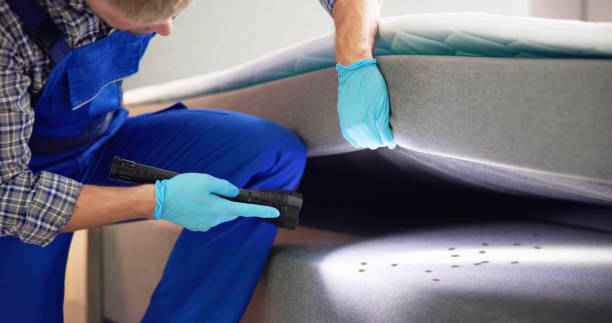 Best Pest Prevention Services  in Greenwood, IN