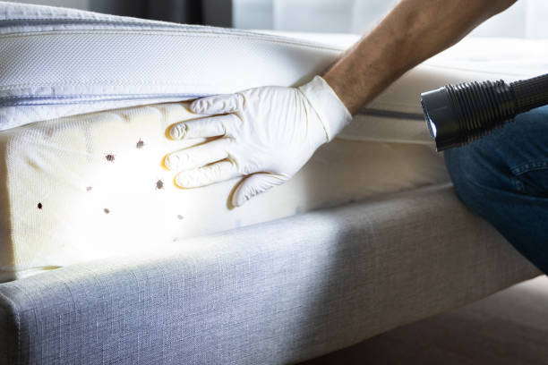Best Cockroach Control Services  in Greenwood, IN