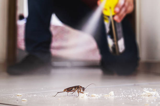 Spider Control Near Me in Greenwood, IN