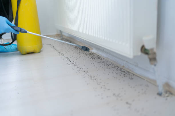 Best Affordable Pest Control Services  in Greenwood, IN