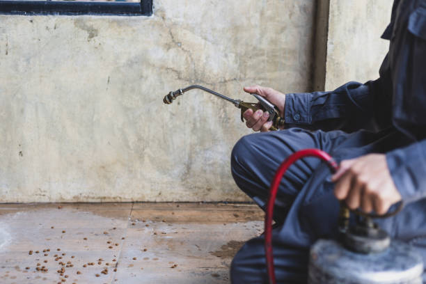 Best Best Pest Control Companies  in Greenwood, IN