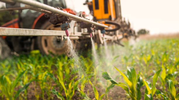 Reliable Greenwood, IN Pest Control Solutions